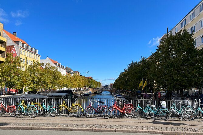 Bike Tour Copenhagen. Private Guide, Concierge Service, Small Grp - The Royal Danish Theatre, plus the Birdbox mosaic moment