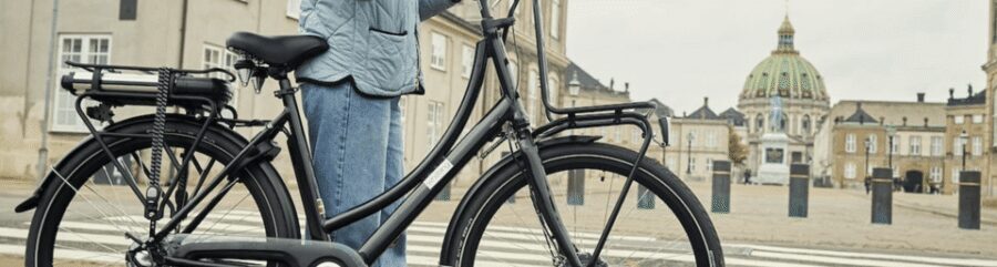 Copenhagen: 3 Hour Extended Grand E-Bike Guided Tour - Key things that make this tour worth your time