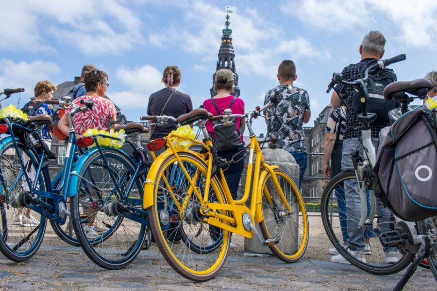 Copenhagen: 3 Hours Private Bike Tour with a local Guide - Why Copenhagen’s bike lanes make this feel easy