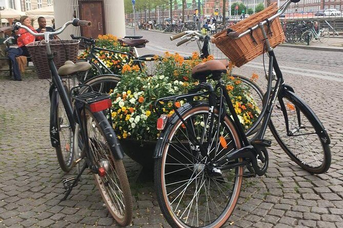 Copenhagen Bicycle Adventure - City Hall Square to Rosenborg Castle: Royal Denmark in One Flow