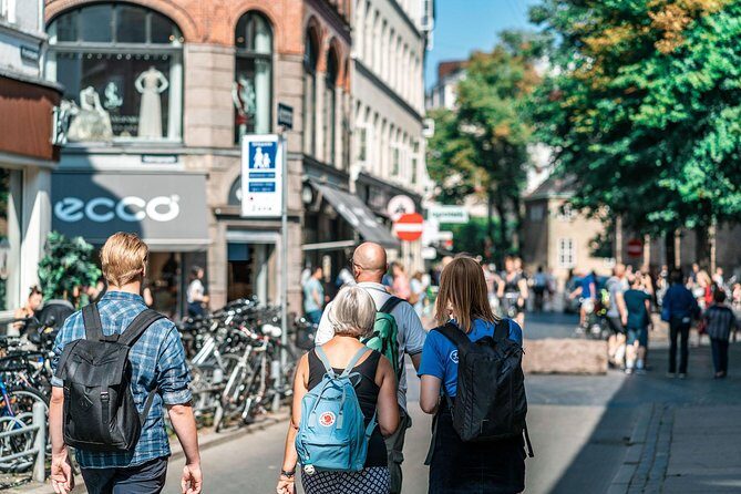 Copenhagen City Private Walking Tour - Højbro Plads to Christiansborg: Slotsholmen’s Best First Look