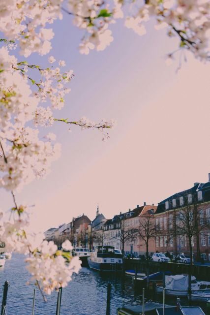 Copenhagen: Danish-Jewish History Tour - Key points before you go