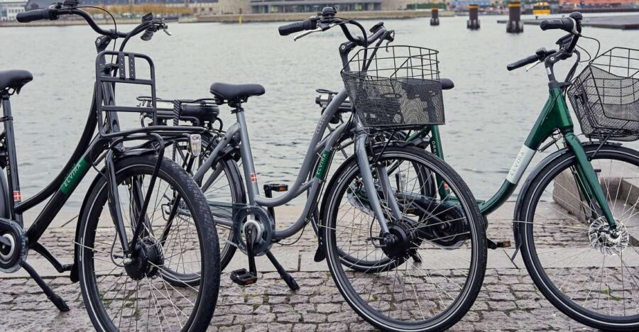 Copenhagen E-Bike Rental - Family-friendly e-bike options: child seats and cargo trailers