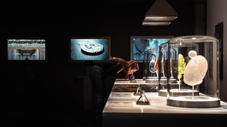 Copenhagen: Home of Carlsberg Experience Entry Ticket - Carlsberg Bar: the included beer moment (and why it feels different)