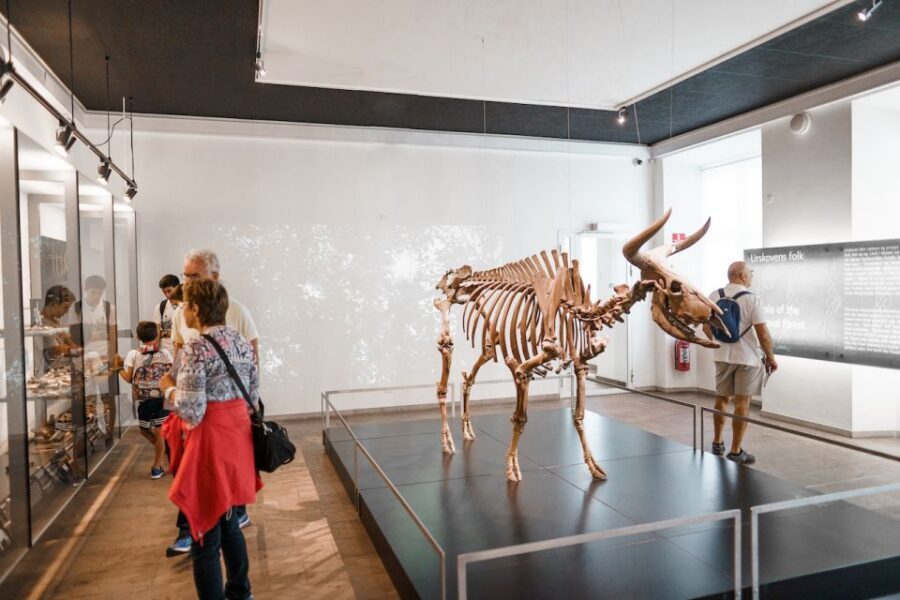 Copenhagen: National Museum of Denmark Entry Ticket - 14,000 Years in One Building: How the Museum’s Layout Helps You Think