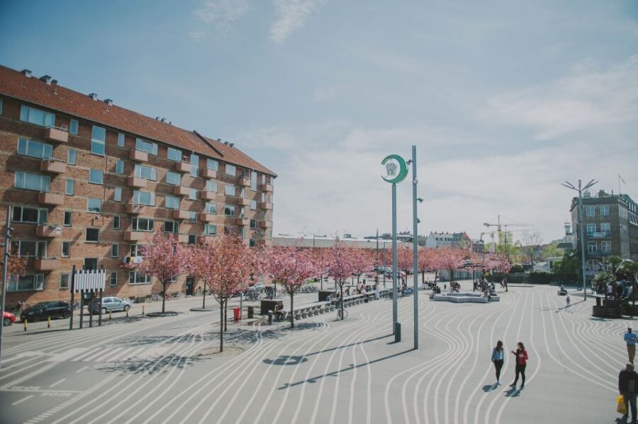 Copenhagen: Nørrebro Neighborhood Tour - Nørrebro Stories: From NørreBronx to a Multicultural Copenhagen