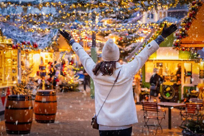Copenhagen Private Christmas Walking Tour with Gløgg - Stork Fountain: Christmas performances, souvenirs, and where you’ll see gløgg