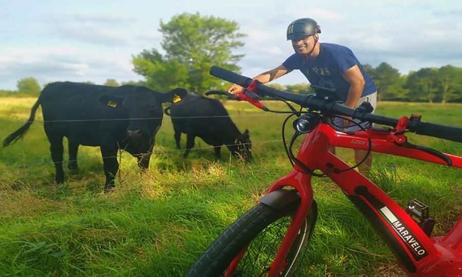 Copenhagen: Private Forgotten Giants E-Bike Treasure Hunt - The Treasure Hunt: Your Four Forgotten Giants to Look For