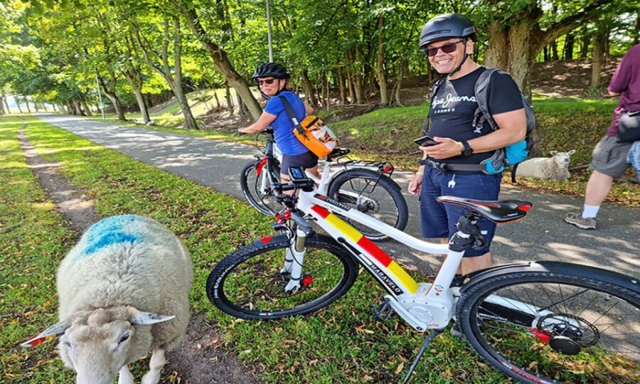 Copenhagen: Private Forgotten Giants E-Bike Treasure Hunt - Copenhagen to Glostrup: The First Ride Leg (Smooth Start)