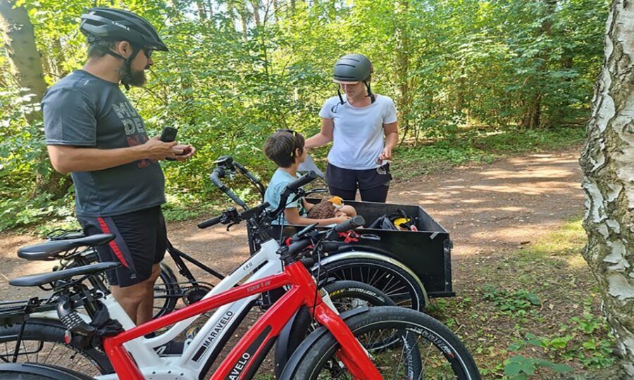 Copenhagen: Private Forgotten Giants E-Bike Treasure Hunt - Albertslund and Valensbæk Views: Zealand Nature Without the Car Hassle