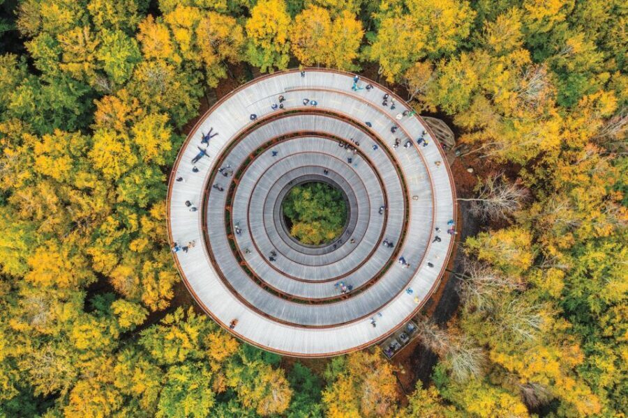 Copenhagen: The Forest Tower & Forgotten Giants Trolls Trip - Should You Book the Forest Tower and Forgotten Giants Trip?