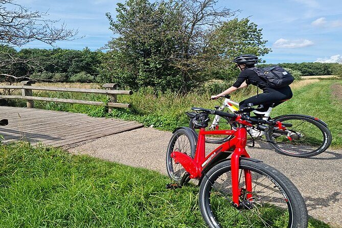 E-biking Northern Forgotten Giants' s Adventure - The E-Bike Setup, Safety Gear, and Camera Gear You Get