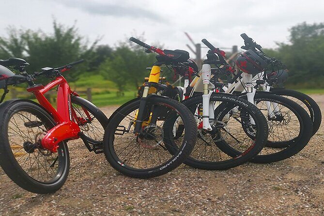 E-biking Northern Forgotten Giants' s Adventure - Price and Value: What $209 Buys in Copenhagen