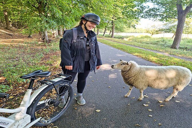 E-biking Northern Forgotten Giants' s Adventure - Who Should Book This Forgotten Giants E-Bike Tour