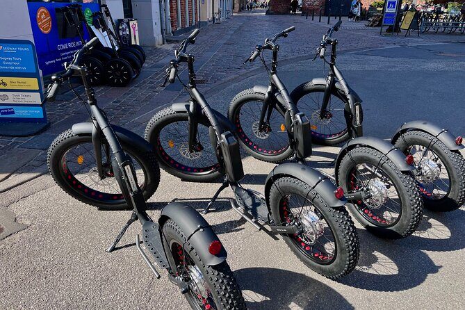 E-Scooter "Stand Up Kick Bike" 2 Hour Guided Copenhagen Tour - Copenhagen E-Scooter Tour: What the Ride Feels Like in Real Life