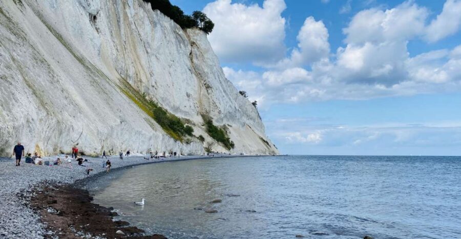 From Copenhagen: Round-Trip to Møns Klint and Forest Tower - Price and value: is $112 a good deal?