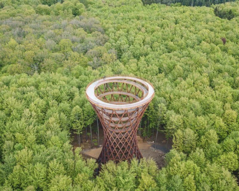 From Copenhagen: Round-Trip to Møns Klint and Forest Tower - Forest Tower (Skovtårnet): climbing above the forest canopy
