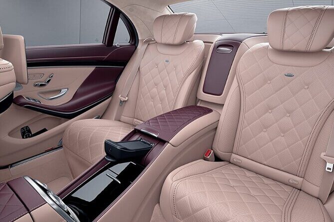 Luxury Vehicle Transfer from Copenhagen Airport CPH to Copenhagen - Choosing Between the Mercedes V-Class and S-Class