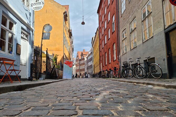 Private E-Biking Copenhagen History and Nature Adventures - The e-bike style: covering distance without feeling worked