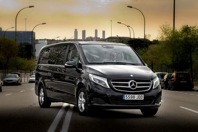 Private Luxury Van Departure from Copenhagen to Copenhagen Port - The Van Experience: Mercedes Comfort and Real-World Cruise Bags