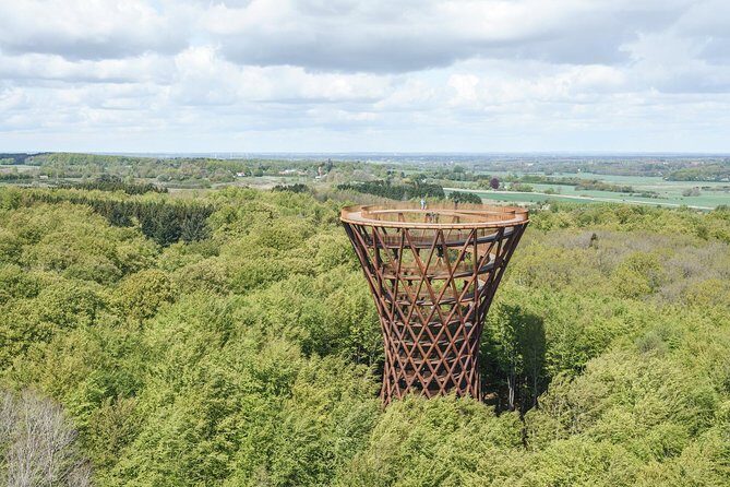 The Forest Tower and Forgotten Giants-A day tour from Copenhagen - Transport Comfort: Air-Conditioned Minibus and What to Watch For